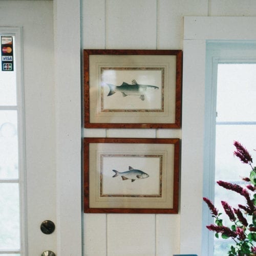 Fish prints on the wall of Flagship fish market in Lakeside, Michigan.