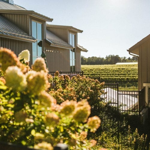 A peek through to the vineyard between buildings at Dablon Winery in Baroda, Michigan.