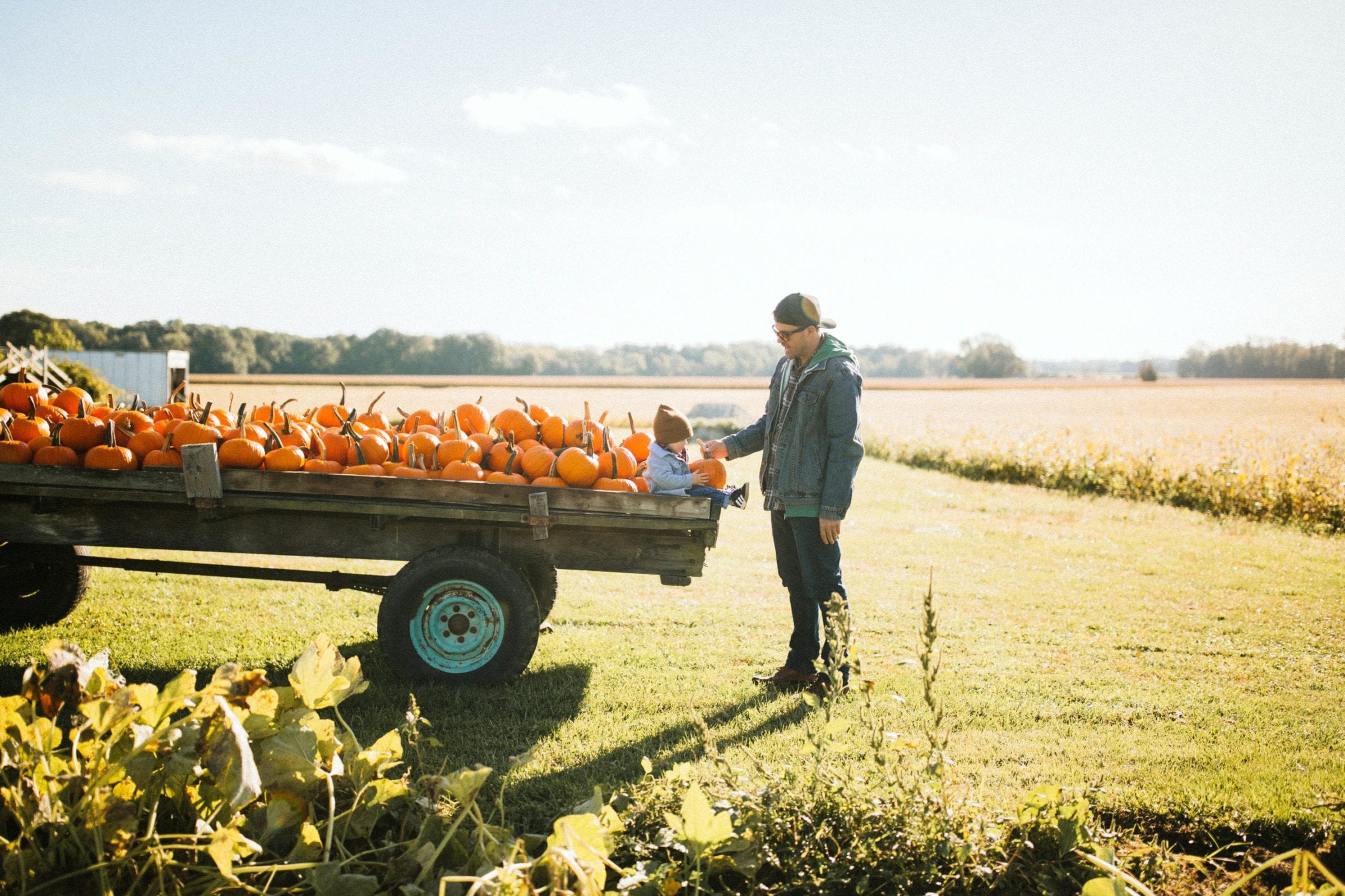 Dinges_Fall_Harvest_Michigan_133 New Buffalo Explored