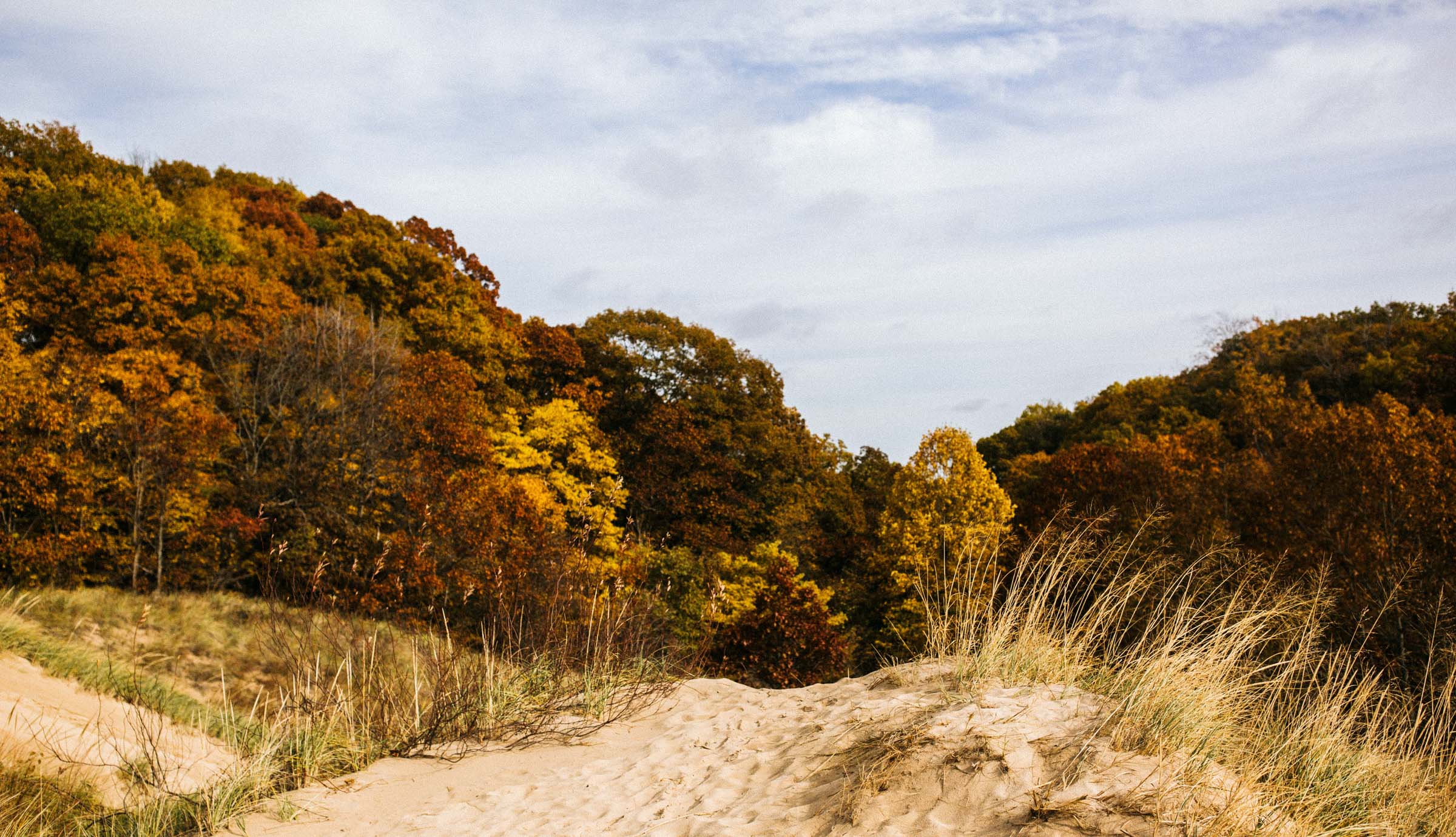 Warren_Dunes_Michigan_332 New Buffalo Explored