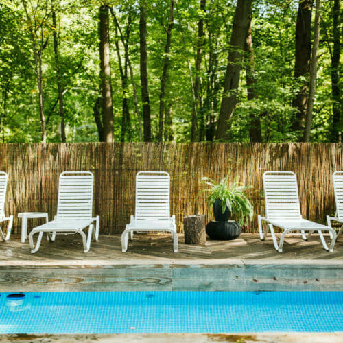A view of the pool, chaises, and the wooded backdrop at Flamingo Ranch in Lakeside, Michigan.