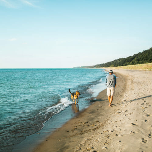 A dog and a guy walk along the Lake Michigan shoreline at Warren Dunes State Park in Sawyer, Michigan.
