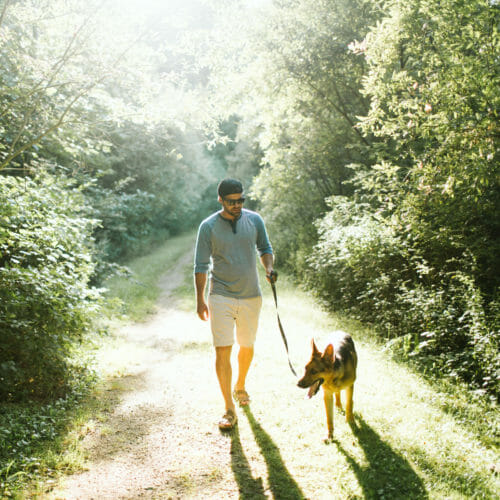 A dog and a guy walk down a wooded trail at Warren Dunes State Park in Sawyer, Michigan.