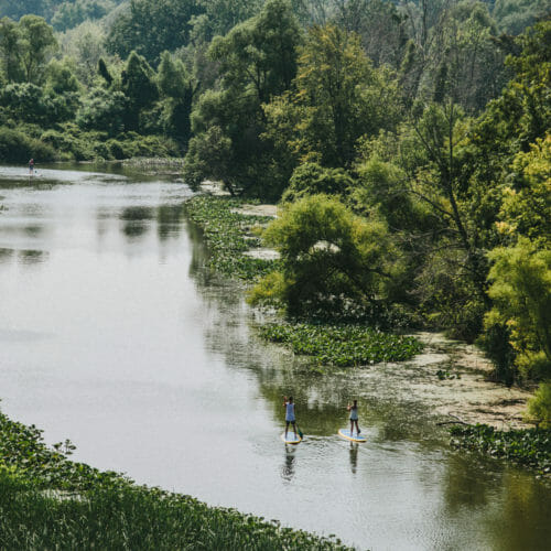 Paddleboarders traveling along a winding river surrounded by lush green trees and marshland at Galien River Marsh Trail in New Buffalo, Michigan.