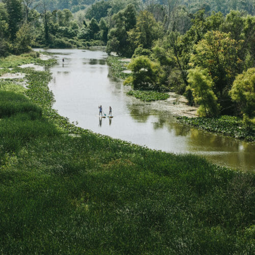 Paddleboarders traveling along a winding river surrounded by lush green trees and marshland at Galien River Marsh Trail in New Buffalo, Michigan.