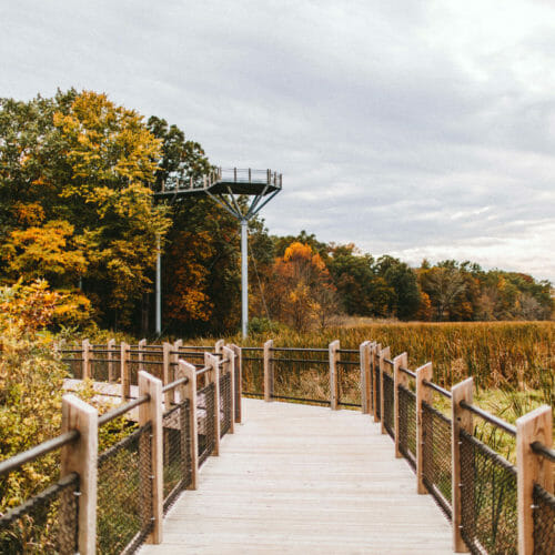A treetop observation tower in autumn at Galien River County Park in New Buffalo, Michigan.