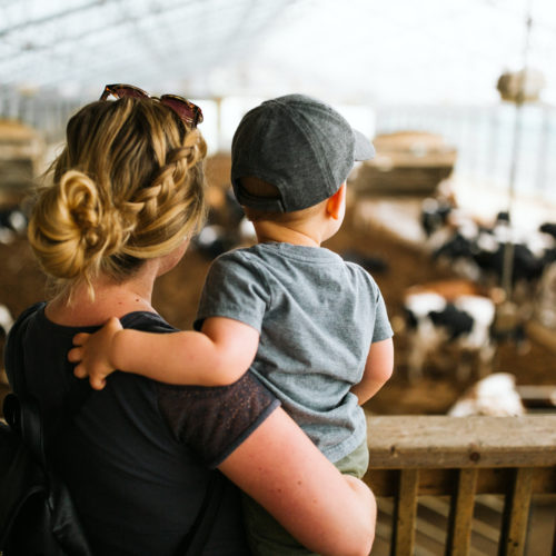 A mom with braided hair holding her son to see the dairy barn from a viewing platform at Shuler Dairy Farm in Baroda, Michigan.