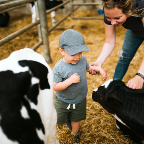 A smiling toddler and his mom petting baby cows at Shuler Dairy Farms in Baroda, Michigan.