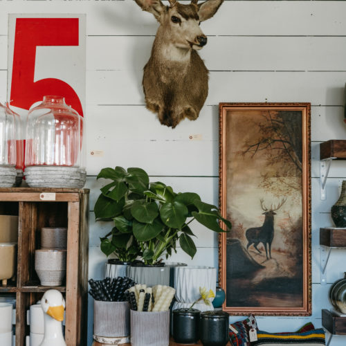 Vintage art, accessories, and a mounted buck head with plants, candles, and ceramics at Alapash Mercantile in Three Oaks, Michigan.
