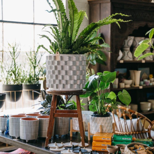 Houseplants, planters, and colorful textiles at Alapash Mercantile in Three Oaks, Michigan.