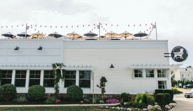 A view of blue and white umbrellas on The Stray Dog rooftop in New Buffalo, Michigan.