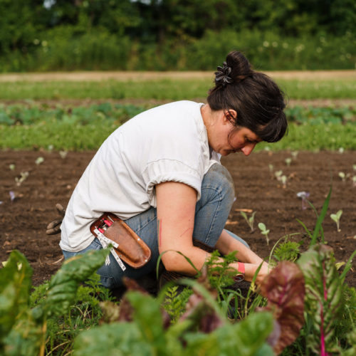 A young woman kneeling in a field at Granor Farm in Three Oaks, Michigan.