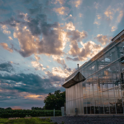 A beautiful pink and blue sunset reflects on the glass greenhouse at Granor Farm in Three Oaks, Michigan.