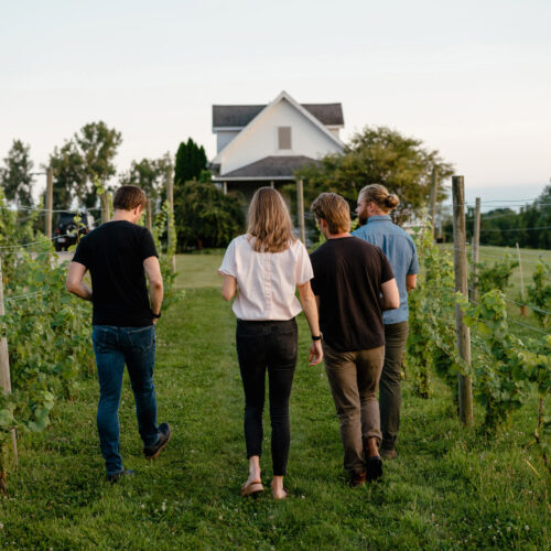 Owner and winemaker Adam McBride leading a vineyard tour at Hickory Creek Winery in Buchanan, Michigan.