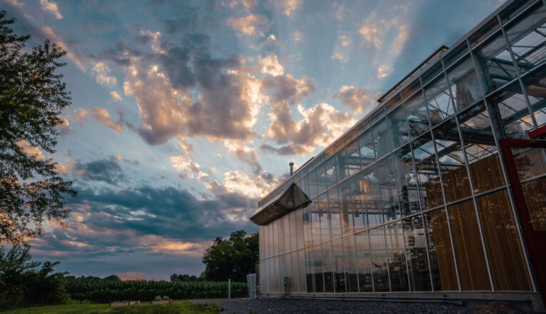 A beautiful pink and blue sunset reflects on the glass greenhouse at Granor Farm in Three Oaks, Michigan.