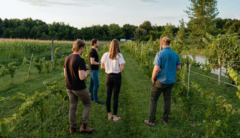 Owner and winemaker Adam McBride leading a vineyard tour at Hickory Creek Winery in Buchanan, Michigan.