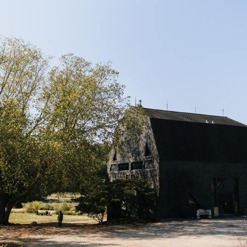 A landscape view of a sunny farm and black barn at Verdant Hollow Farm in Buchanan, Michigan.