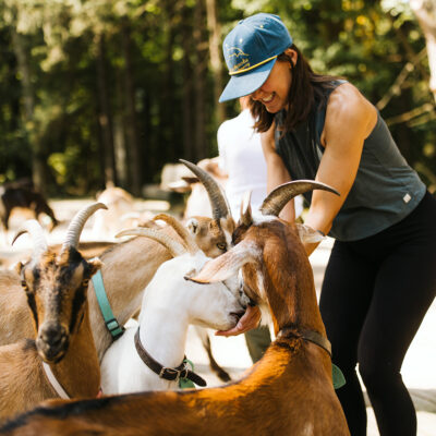 A woman smiles as she feeds a group of goats at Verdant Hollow Farm in Buchanan, Michigan.