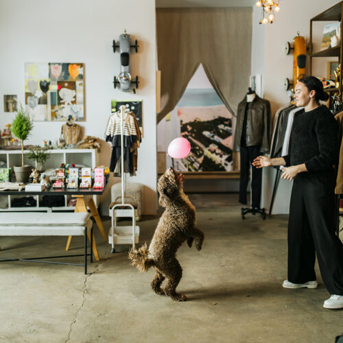 A dog plays with a balloon inside Goods and Heroes in Three Oaks Michigan