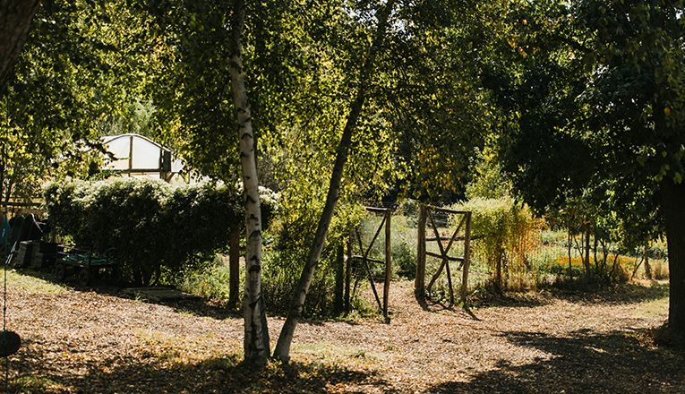 A lush, green landscape surround a graceful wooden fence at Verdant Hollow in Buchanan, Michigan.