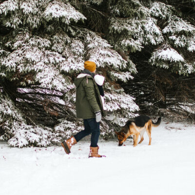 A man and dog walk in winter time next to snow covered trees near New Buffalo, Michigan