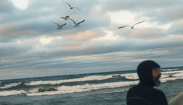 Seagulls fly overhead as a surfer walks past near New Buffalo, Michigan