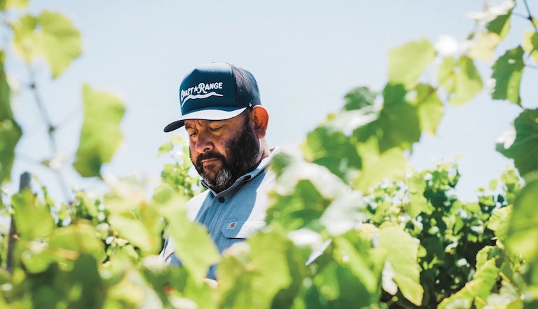 Sommelier and winemaker Raj Parr looks at grapes in the vineyard.