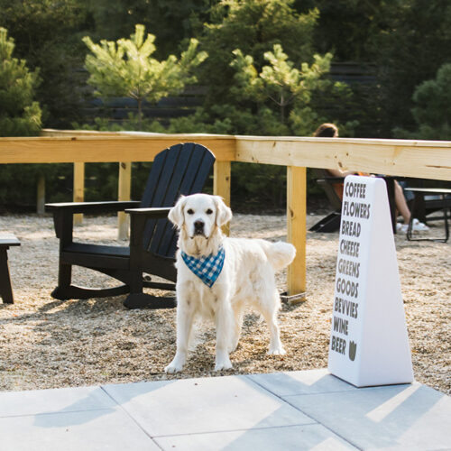 Dogs welcome at Farmette in New Buffalo, Michigan