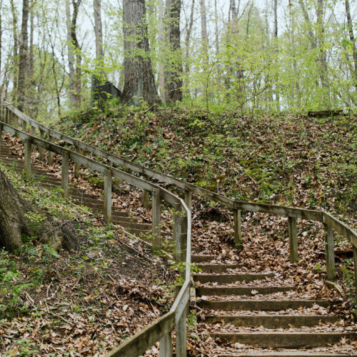 A leafy staircase at Warren Woods State Park in Sawyer, Michigan