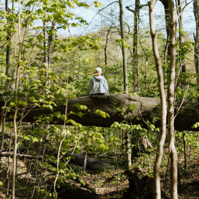 A boy sits on a fallen tree in the forest at Warren Woods State Park in Sawyer, Michigan