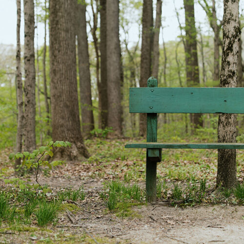 A green bench along the trail at Warren Woods State Park in Sawyer, Michigan
