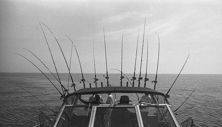 All lines out on multiple fishing poles on a fishing charter near New Buffalo, Michigan