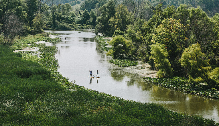 Paddleboarding down the Galien River near New Buffalo, Michigan