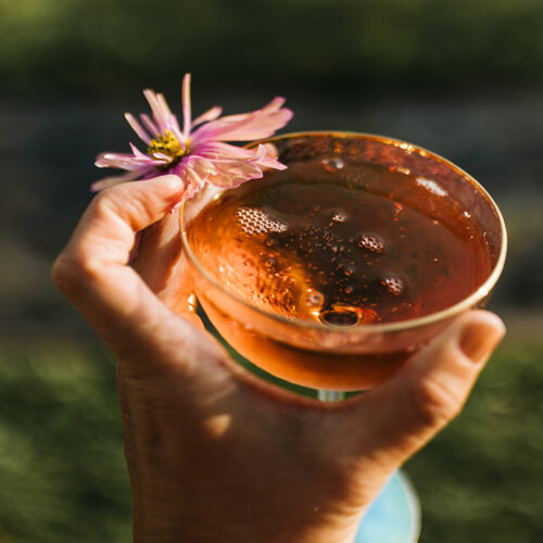 An orange cocktail with a flower garnish in hand at Homecamp Flower Farm in Three Oaks, Michigan