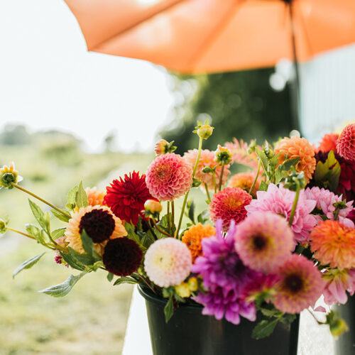 A bucket of freshly cut flowers from Homecamp Flower Farm in Three Oaks, Michigan