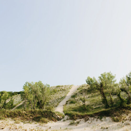 A trail up a dune at Warren Dunes State Park in Sawyer, Michigan